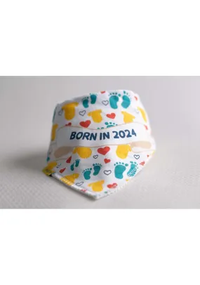 Born In 2024 Bib - Multi