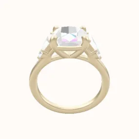 Cathedral Band Trapezoid & Round Sidestones Engagement Ring With Low Set Four Prong Head