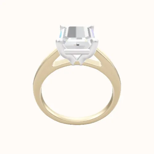 Cathedral Engagement Ring With Standard Four Prong Head