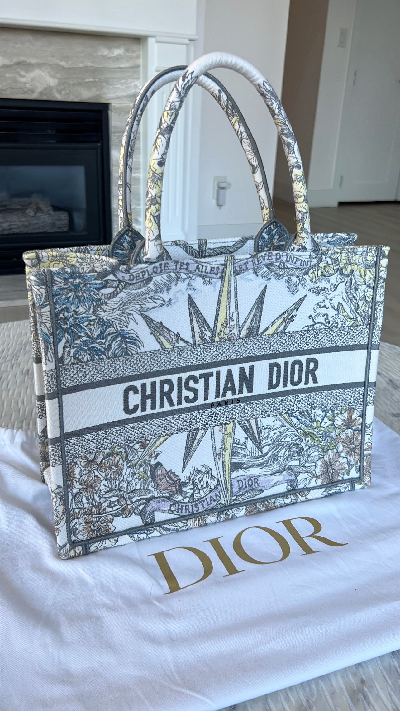 Christian Dior Book Tote Bag