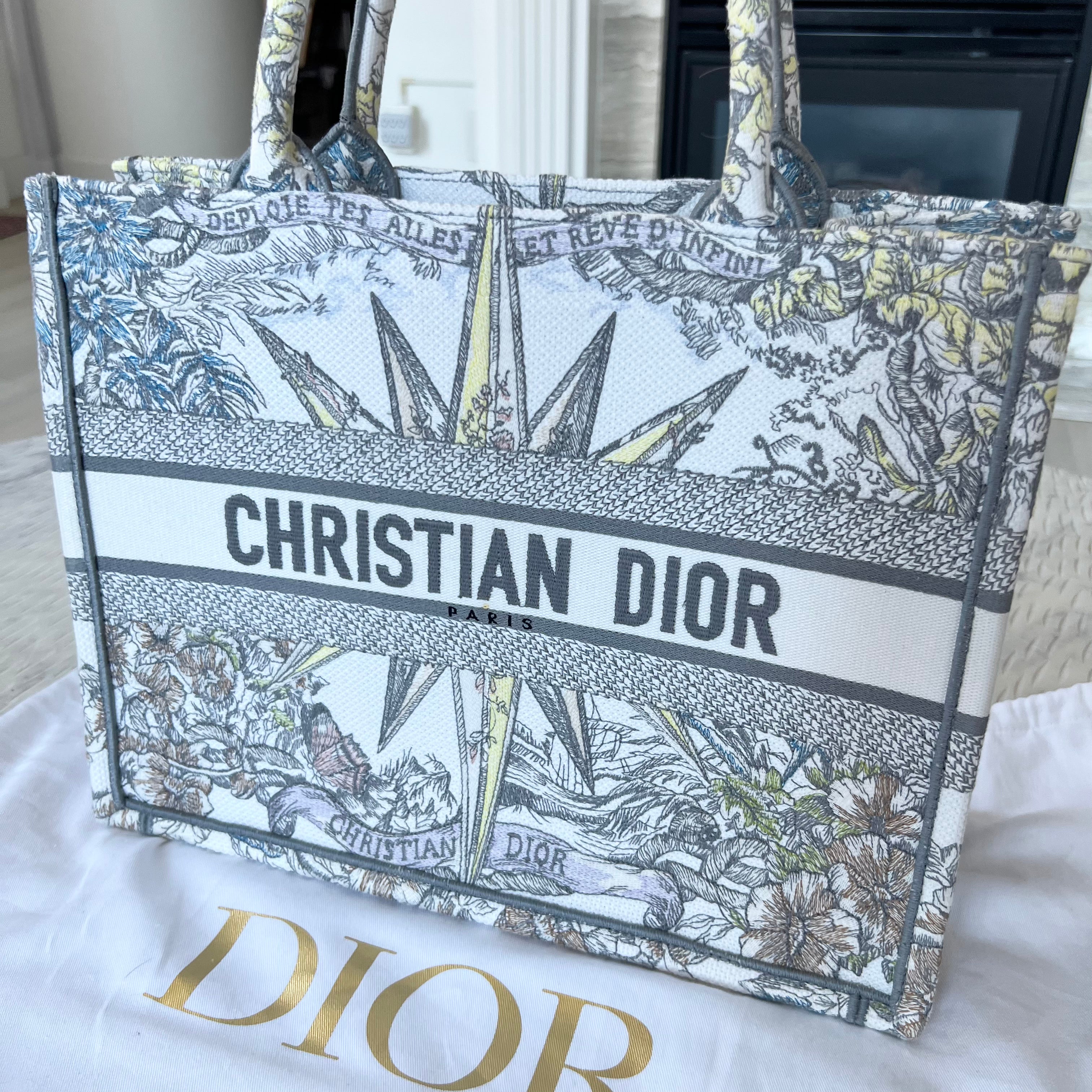 Christian Dior Book Tote Bag