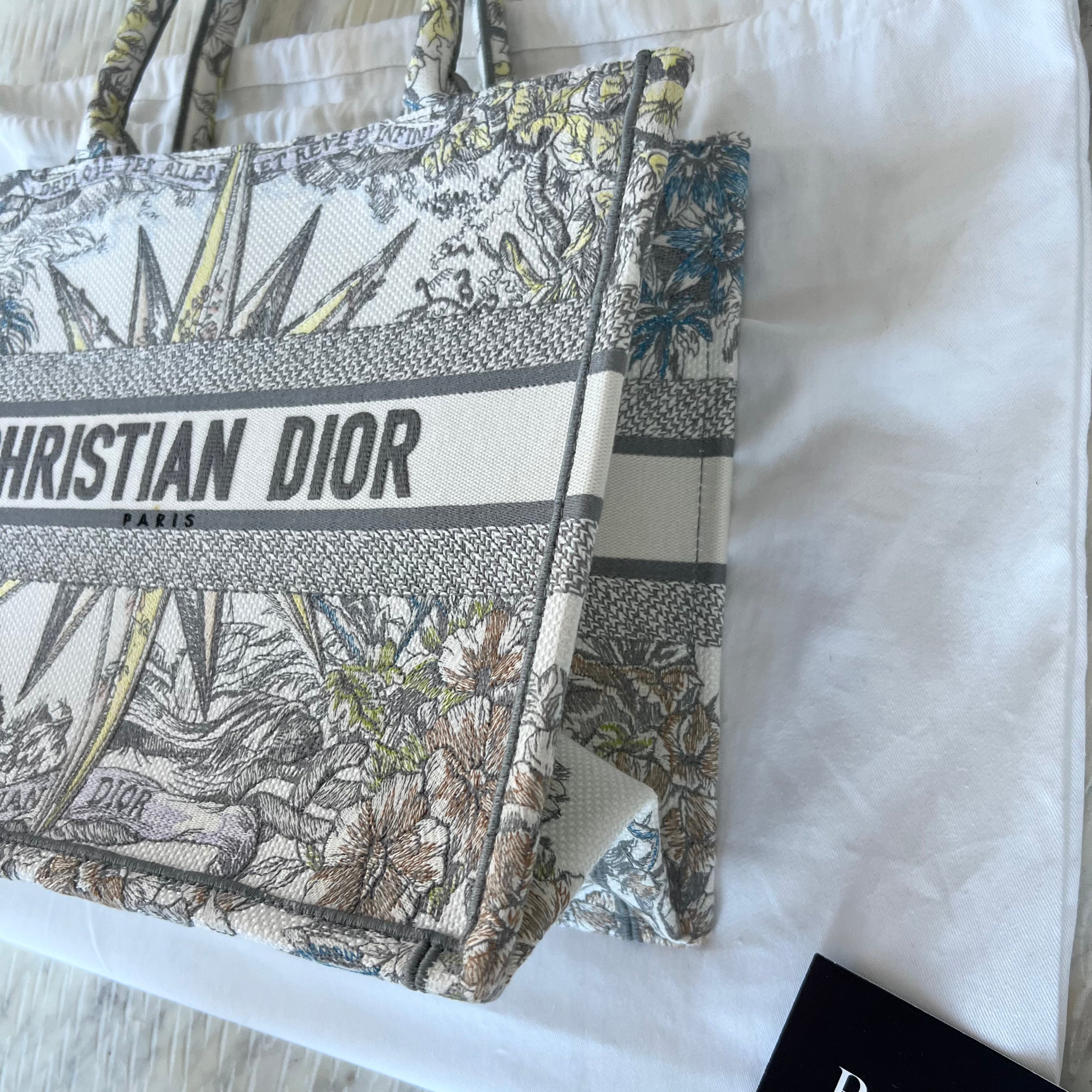 Christian Dior Book Tote Bag