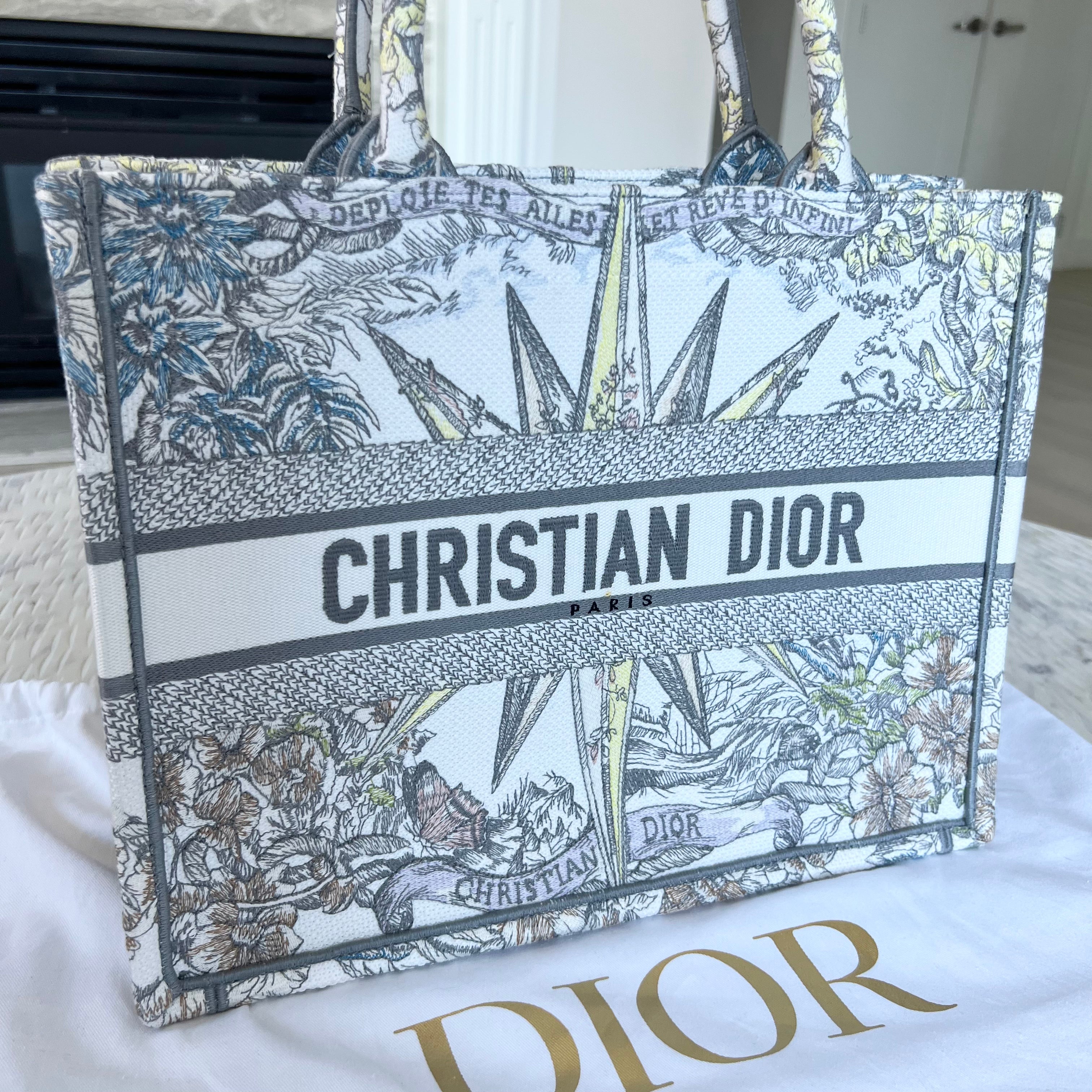 Christian Dior Book Tote Bag