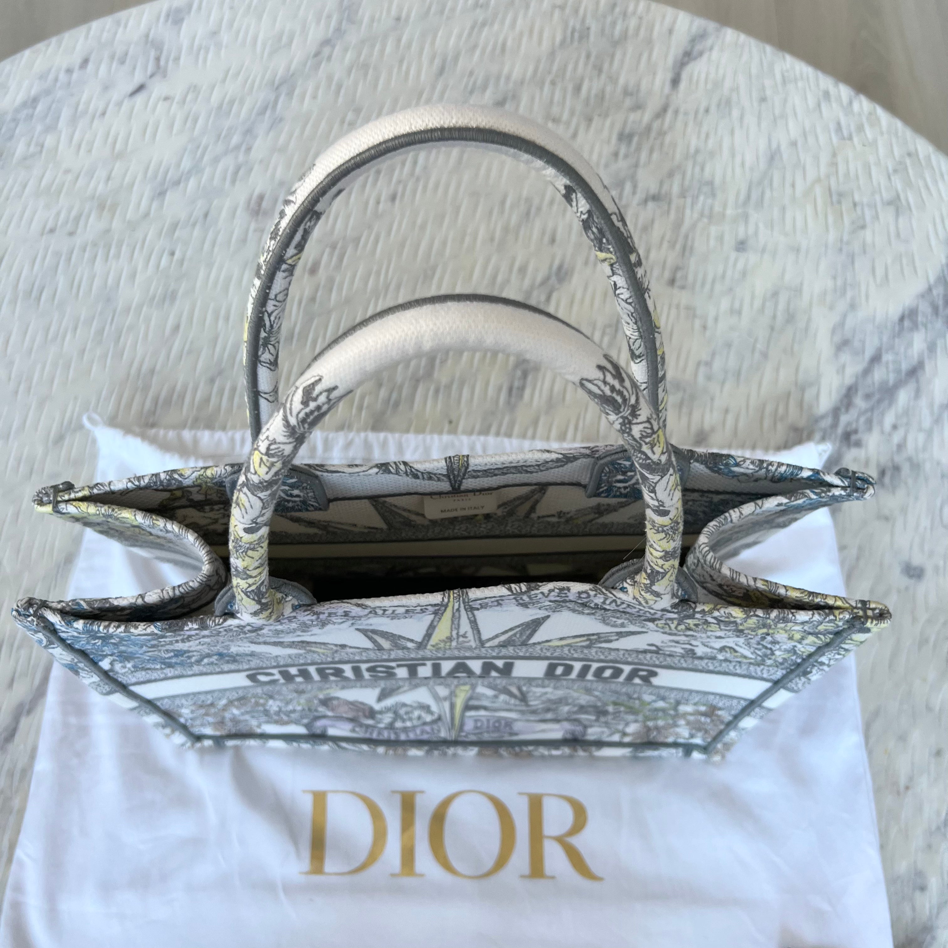 Christian Dior Book Tote Bag