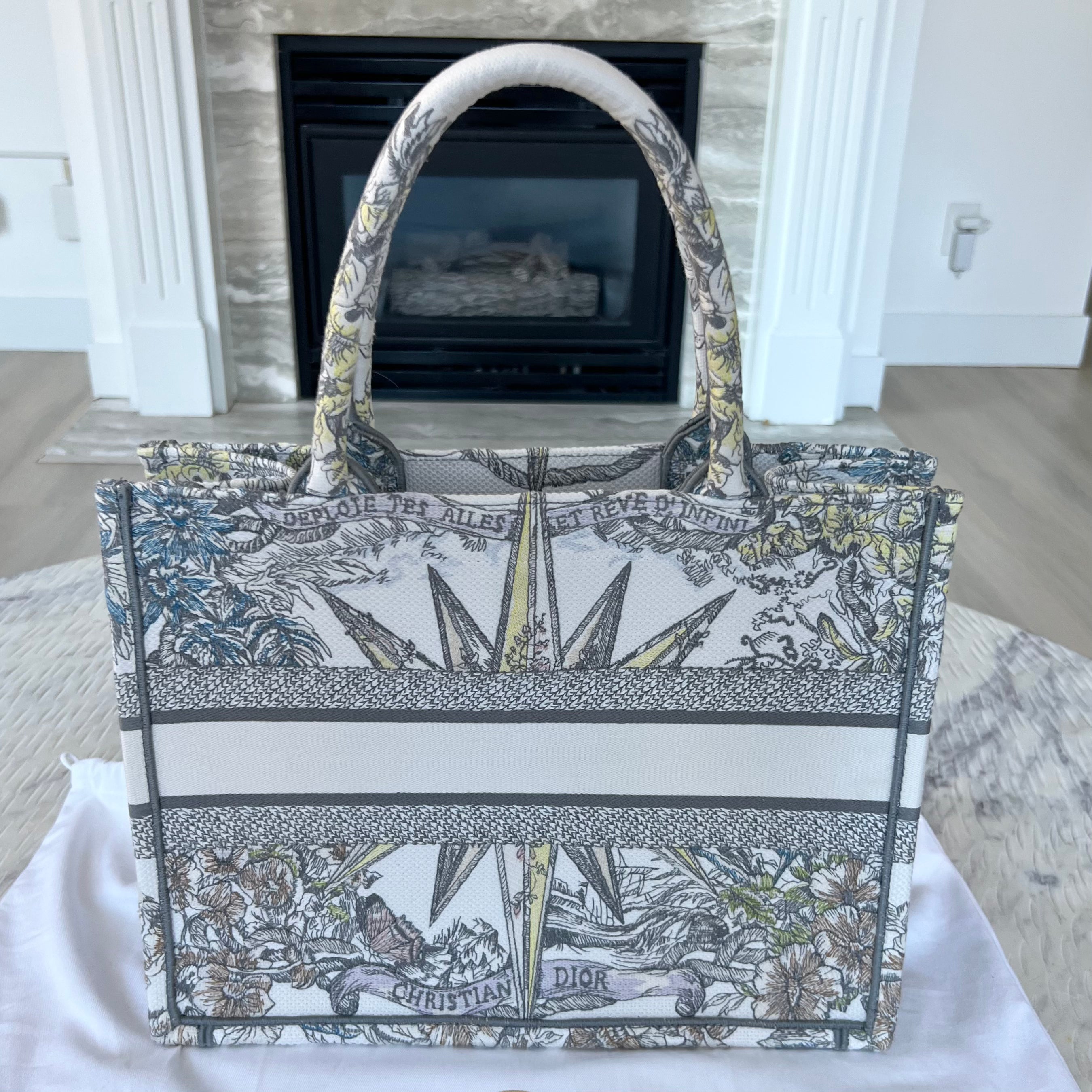 Christian Dior Book Tote Bag