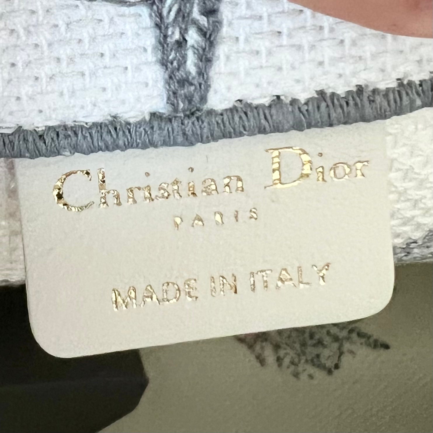 Christian Dior Book Tote Bag