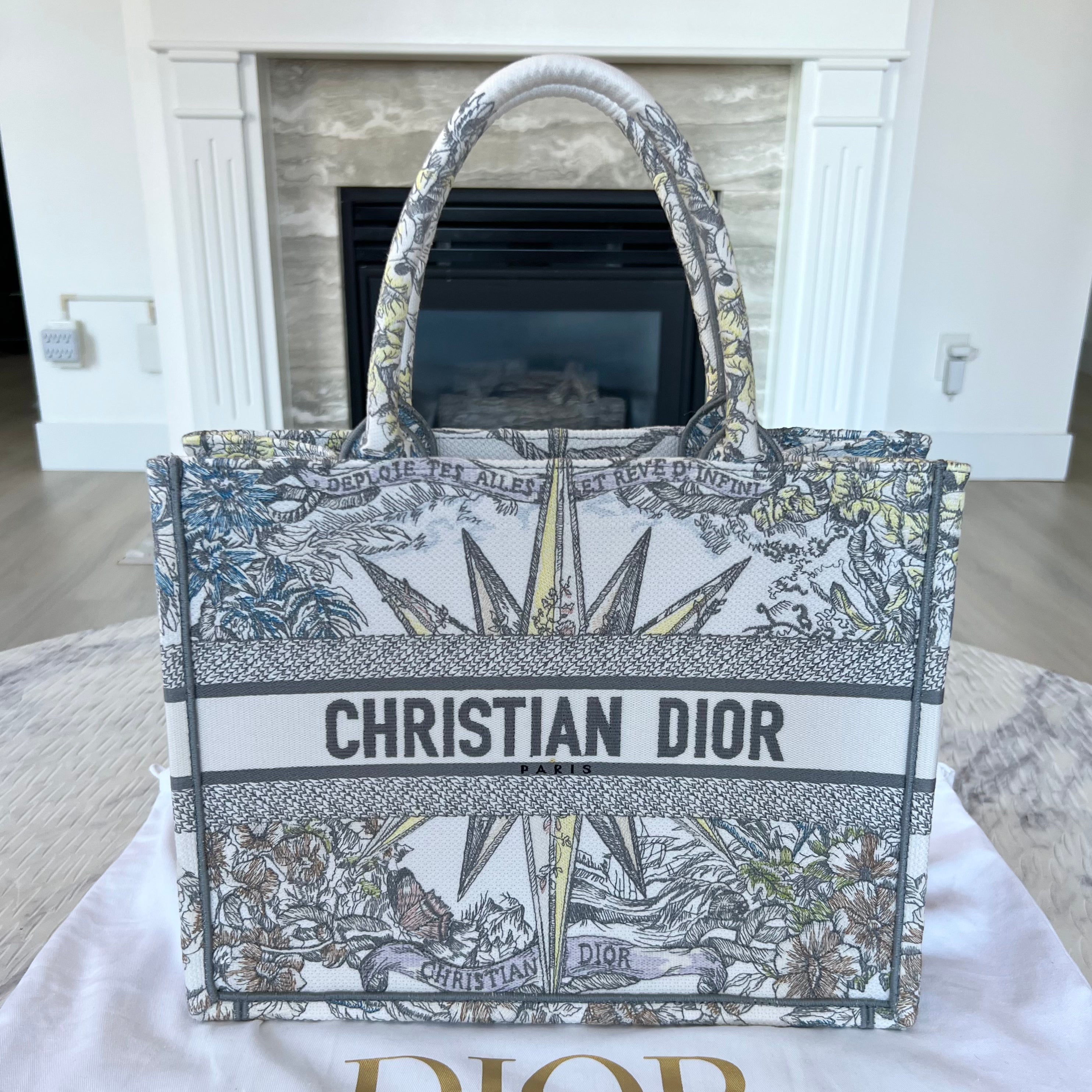 Christian Dior Book Tote Bag