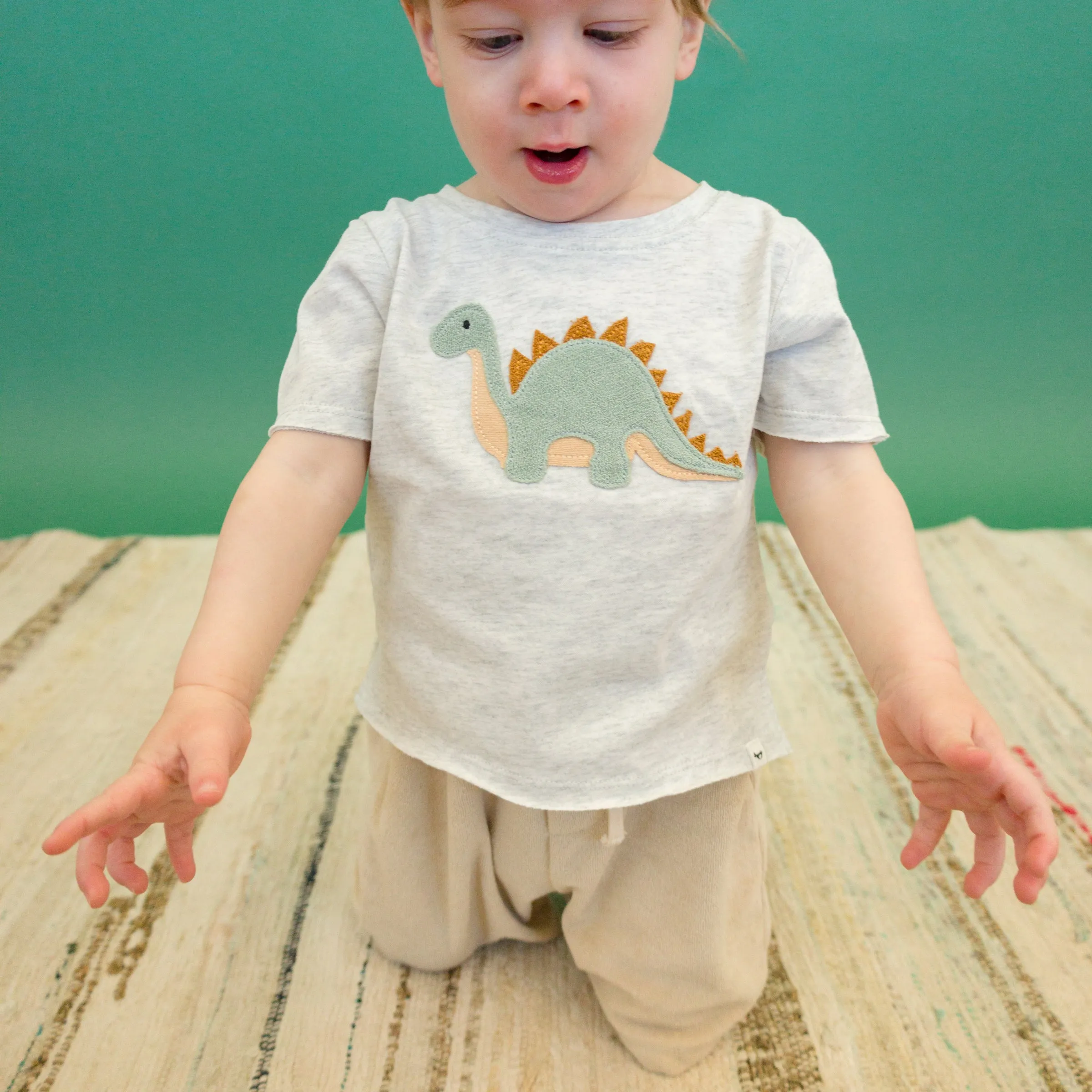 oh baby! Raw Edge Short Sleeve Cotton Slub Tee - Dinosaur Applique - Heather Gray