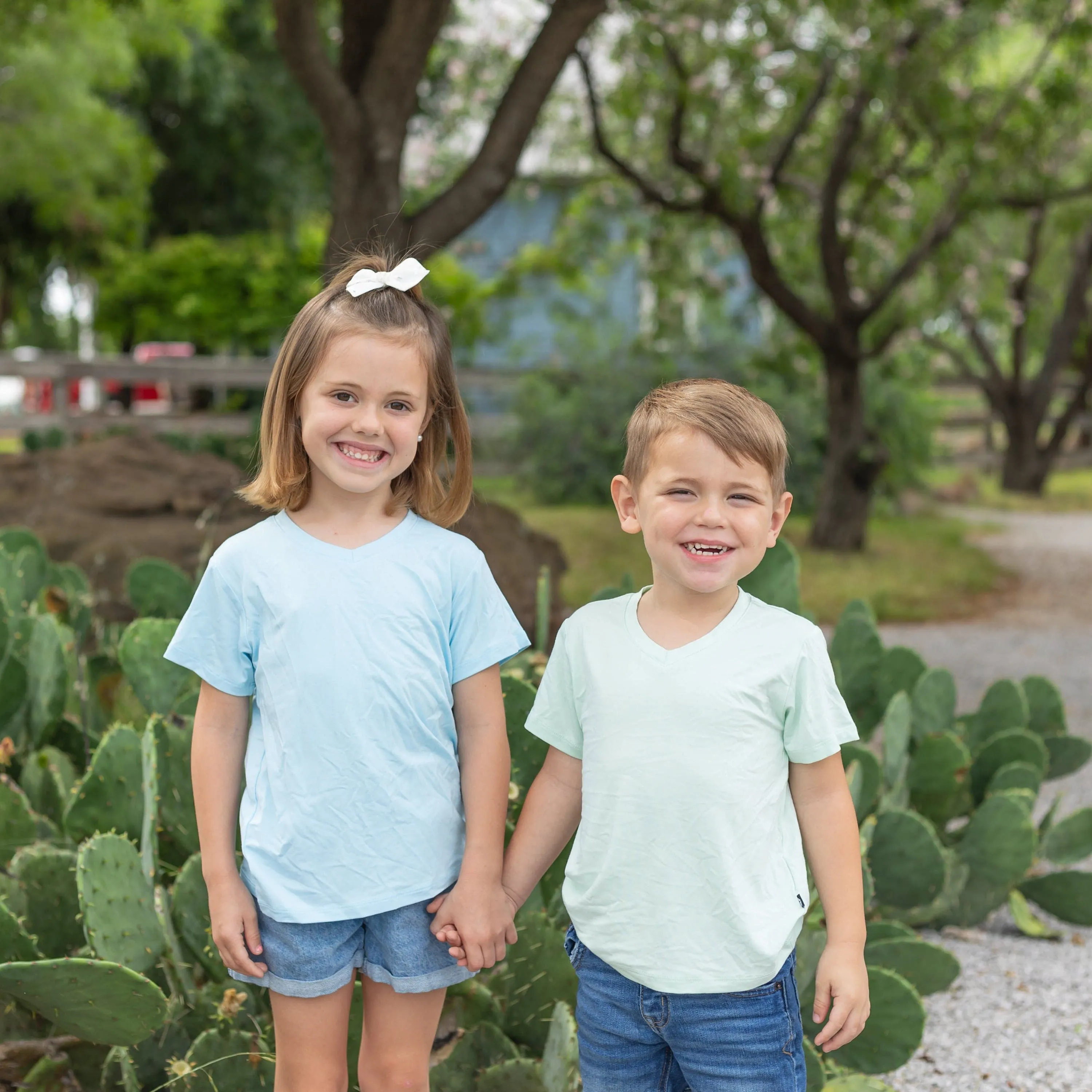 Toddler V-Neck Tee in Powder