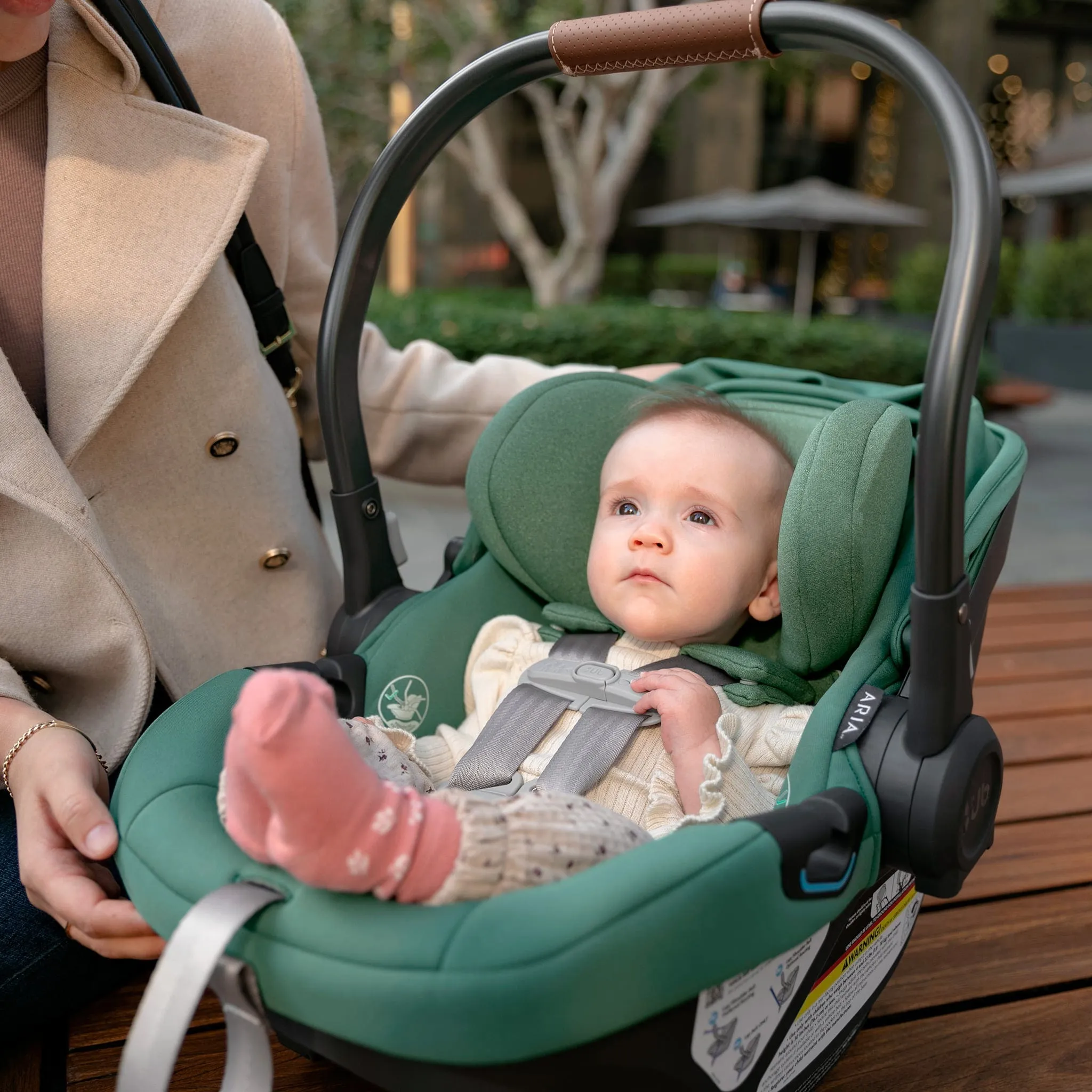 UPPAbaby Aria Car Seat - Gwen  - Clement